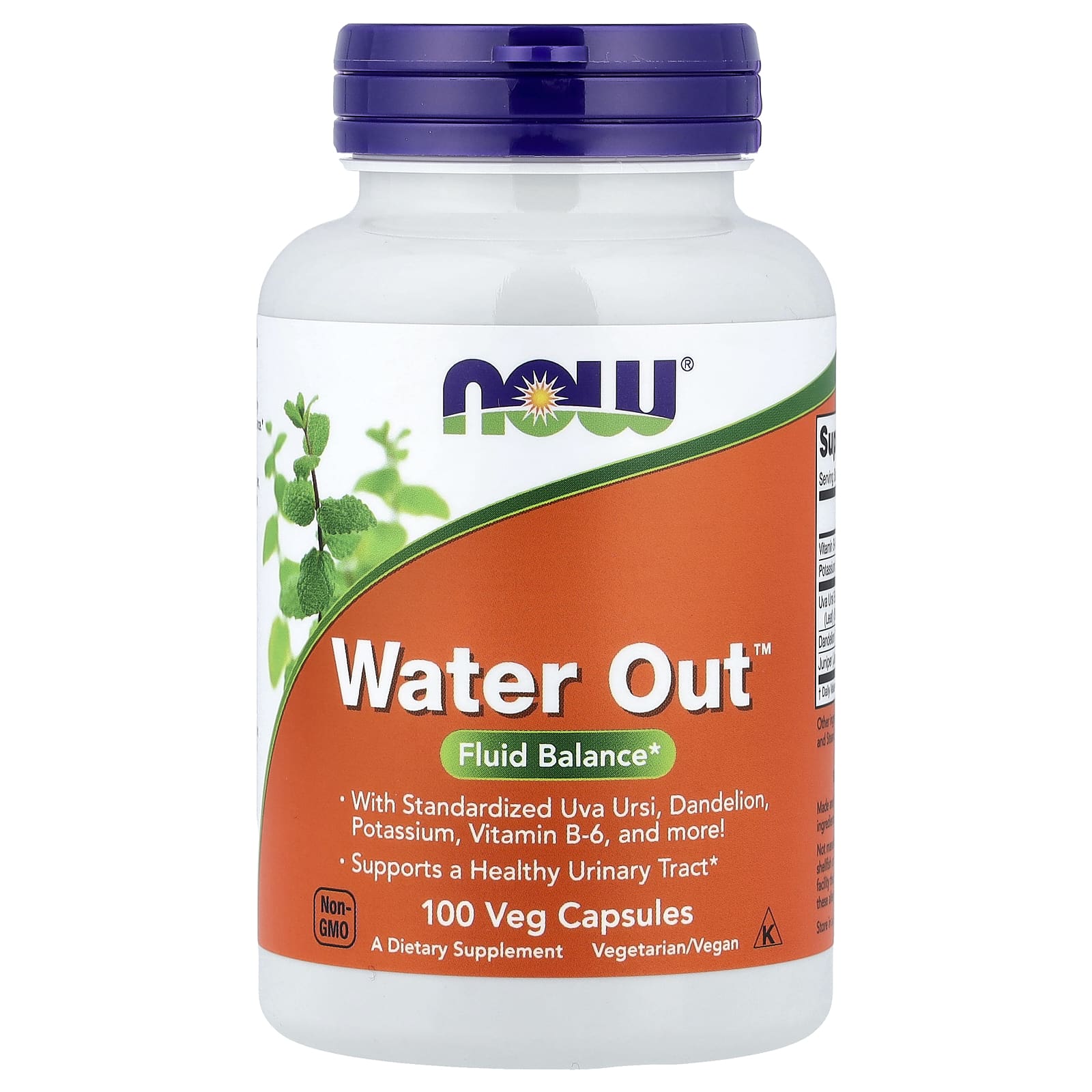 NOW Foods, Water Out™，100 粒素食膠囊
