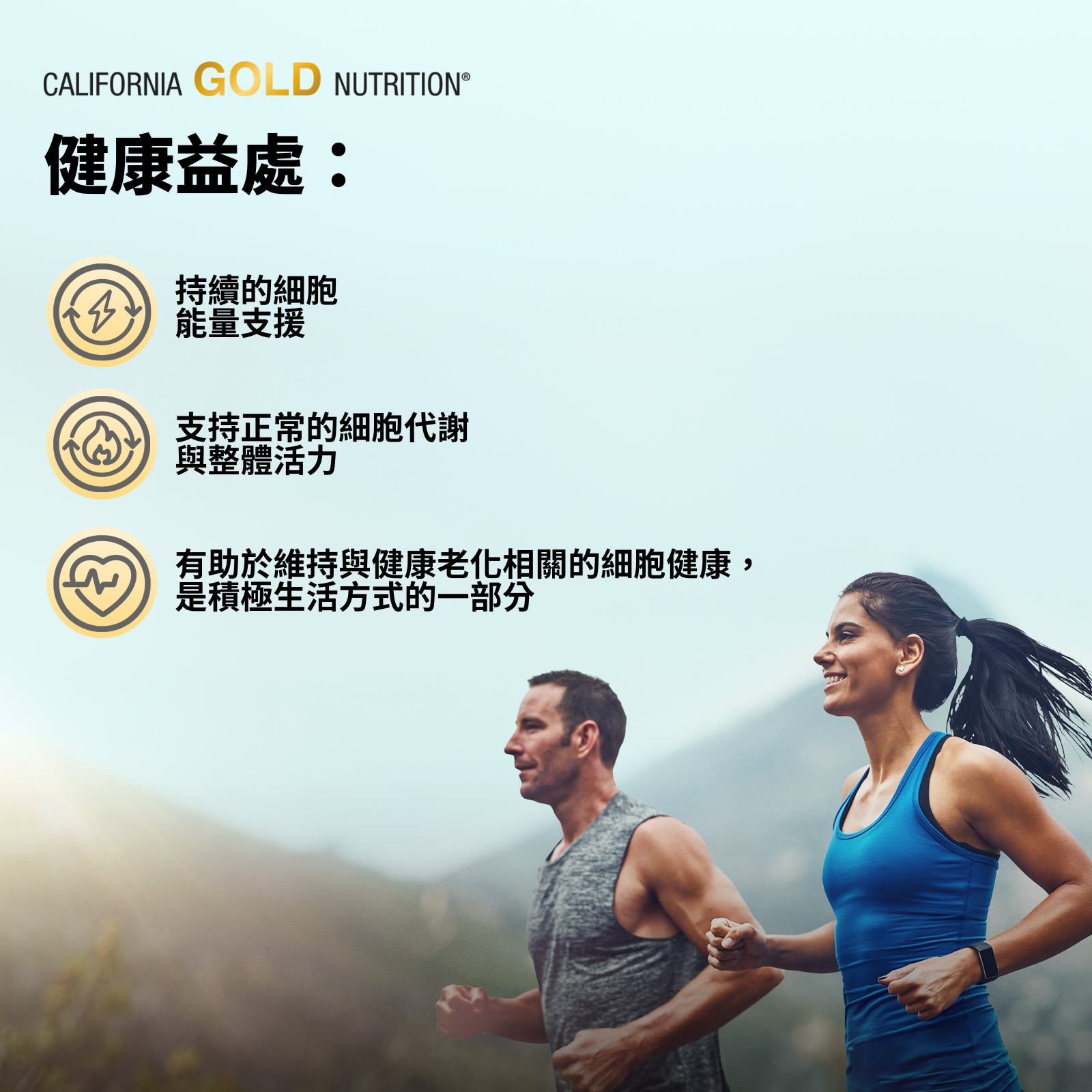 California Gold Nutrition, NMN 類黃酮複合物，含芹菜（苷）配基和五羥黃酮，60 粒素食膠囊